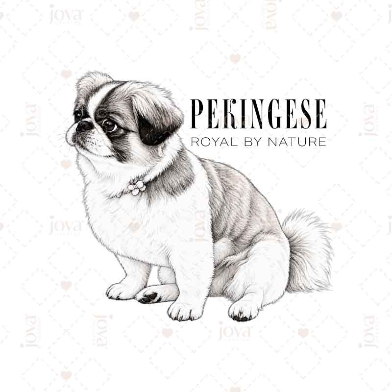 Pekingese "Royal by Nature" — Digital Illustration, Black & White